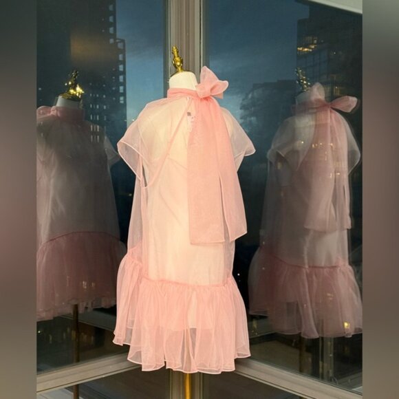🆕 SIMKHAI 🧿 NWT Beaux Tiered Babydoll Mini Dress, Ballet Pink - Sz US 4 - Picture 9 of 14